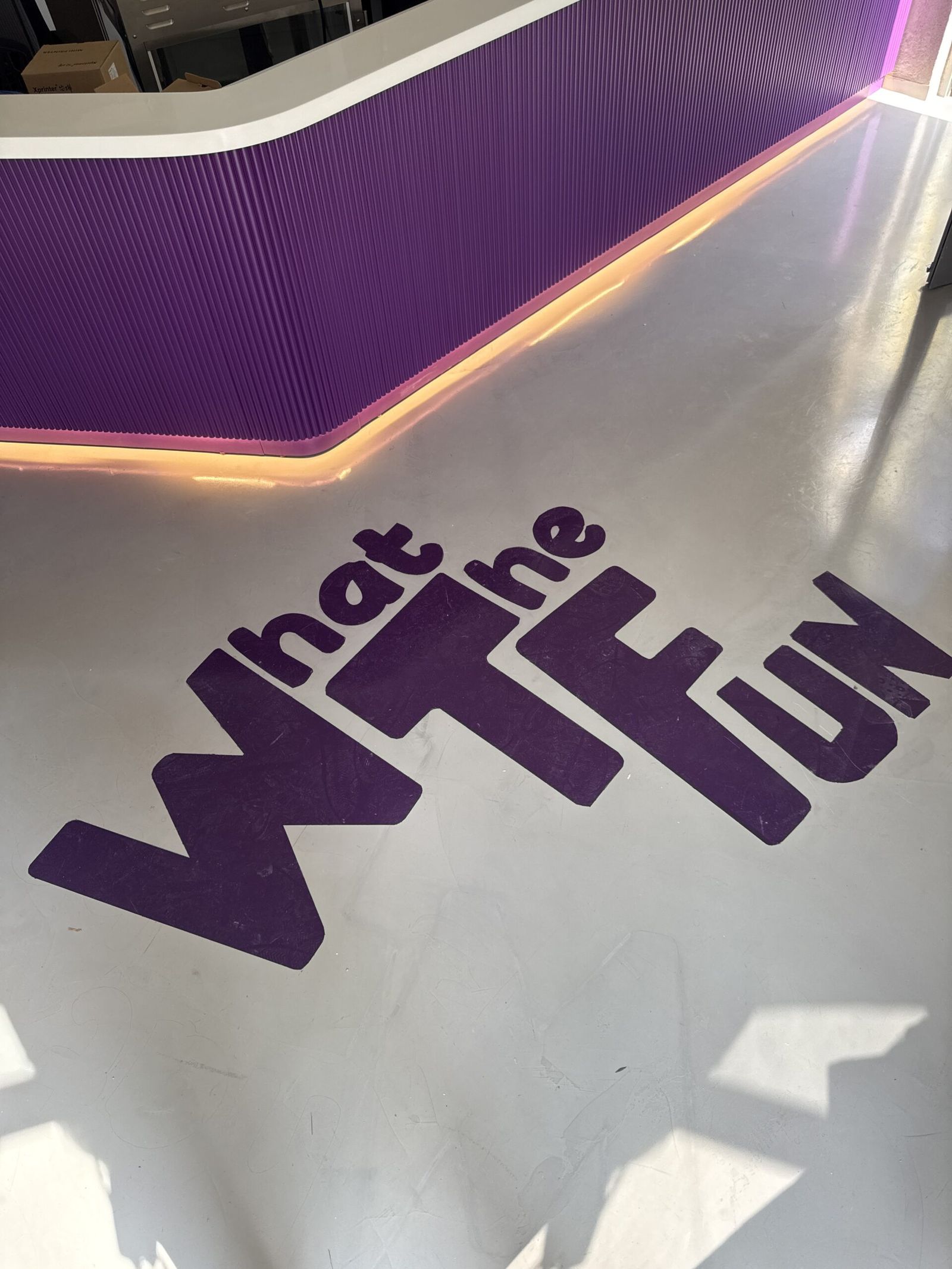 What The Fun — reception purple